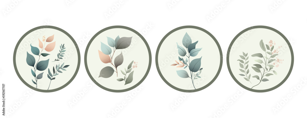 Botanical or floral vector clip art. Green branches isolated elements. Perfect for high light, greeting cards, blogs, posters Botanical or floral vector clip art. Green branches isolated elements. Perfect for high light, greeting cards, blogs, posters