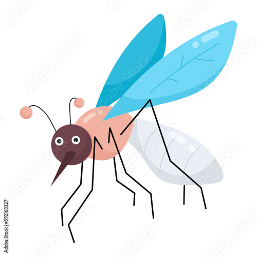 Mosquito 