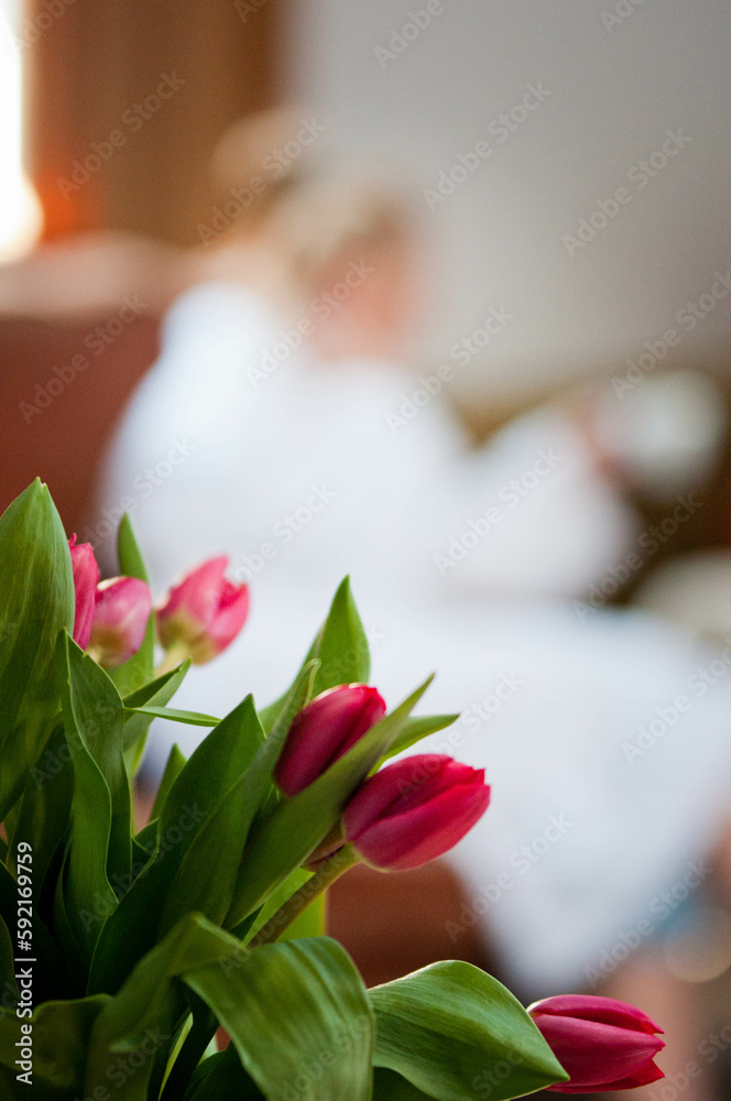 Kwiaty w hotelu, kawa i ciastka, apartamenty, tulipany w wazonie, kwiaty w wazonie - obrazy, fototapety, plakaty 