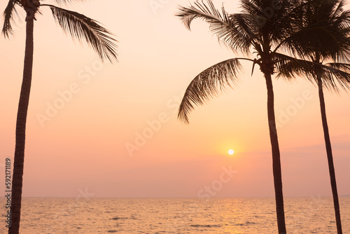 Silhouette coconut palm tree on sea and sunset sky background © anya babii