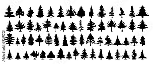 various christmas tree silhouette