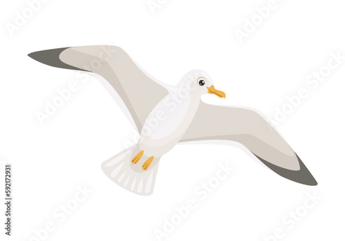Cartoon cute seagull. Vector funny flying bird. Flat icon.