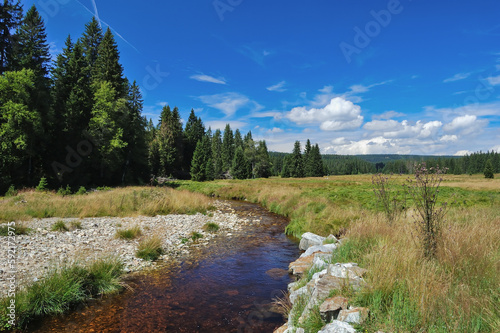 Mountainous landscape with a river, coniferous trees and a meadow. Sumava National Park, Czech Republic