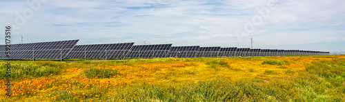 solar farm in Antelope Valley California
