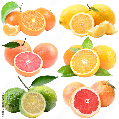 Fototapeta Naklejka Na Ścianę i Meble -  Set of citrus fruits isolated