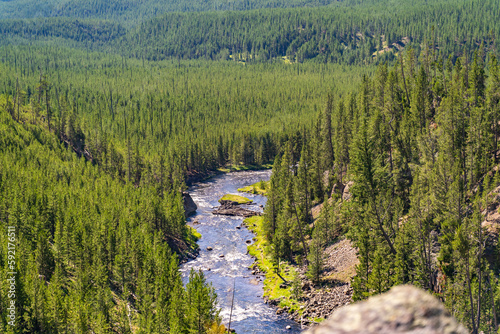 Scenic view of the gibbon river in Yellowstone National Park.