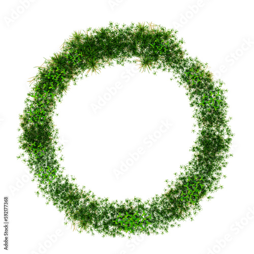 3D render of a wreath made of flower and grass from summer meadow isolated on transparent background