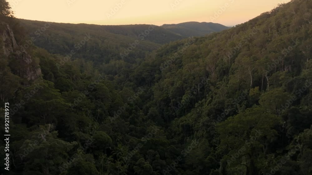 Purling Brook Forest filmed with a Drone, Australia Purling Brook Forest filmed with a Drone, Australia