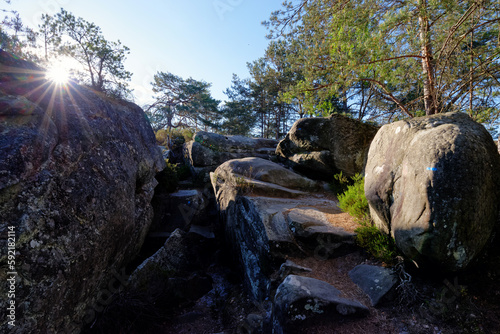 Sandstone rocks and forest path in the Franchard gorges. Fontainebleau forest 
