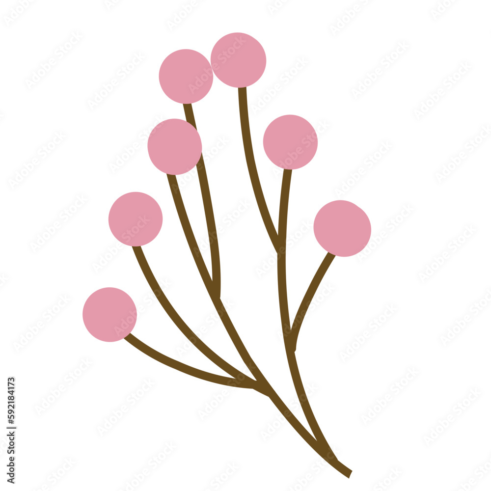 Baby Flower Baby Flower