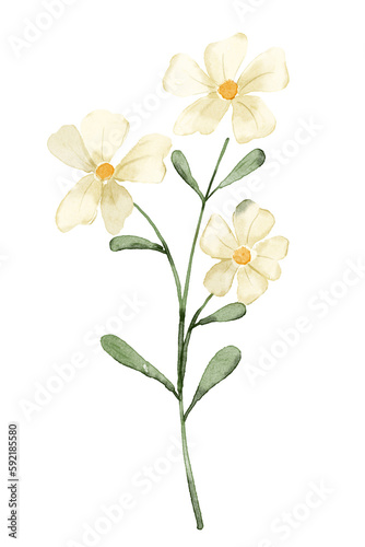 Flower watercolor painting for greeting card, invitation, poster, wedding decoration and other printing image. Illustration isolated on white.
