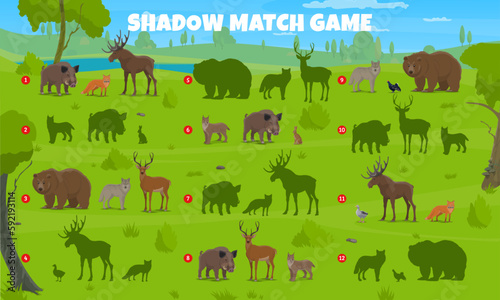Shadow match game. Find similar silhouette of forest animals and birds. Vector game  riddle worksheet with wolf  boar  bear and deer  fox  hare  elk or lynx  and duck wildlife beasts on green lawn