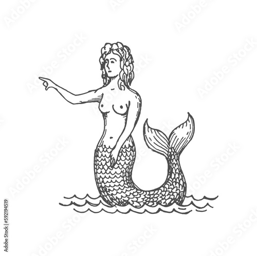 Young mermaid with sea shell isolated underwater fantasy creature with tail and long hair. Vector sketch of mermaid mystical woman with fish tail