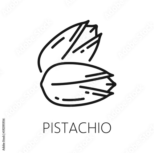 Pistachio nut in shell isolated food snack outline icon, unpeeled cracked dried pistache. Vector vegetarian natural roasted pistache or pistachio