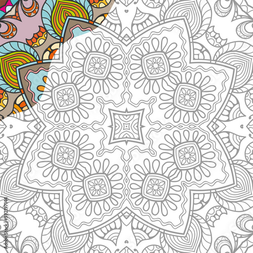 Decorative doodle pattern for coloring book. Hand drawn fantasy line art  floral geometric ornament for painting  coloring page. Tribal ethnic decoration. Black and white with sample of colors