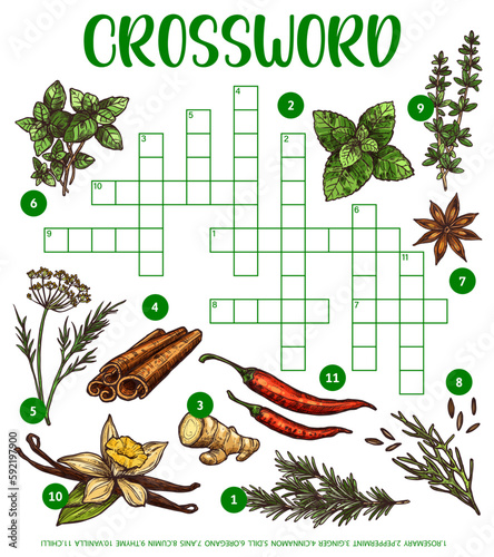 Spices, herbs and seasonings sketch, crossword grid worksheet to find word, vector quiz game. Kids riddle to guess word of cooking spices, rosemary and peppermint, ginger and dill with oregano