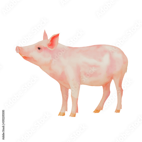 pig with style hand drawn digital painting illustration