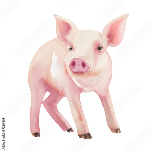pig with style hand drawn digital painting illustration