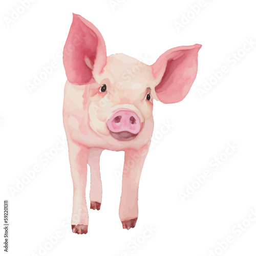 pig with style hand drawn digital painting illustration