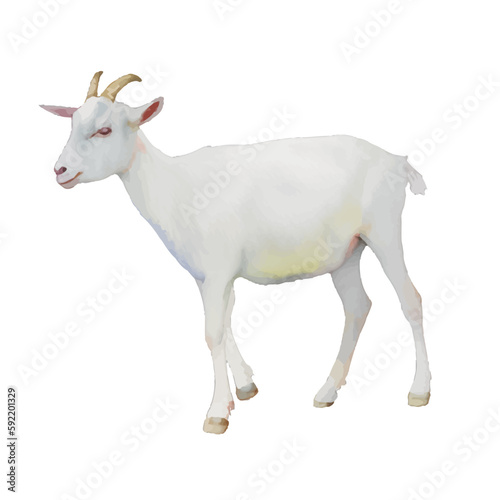 goat with style hand drawn digital painting illustration