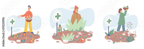 Herbal oils natural medicines. Scientist or doctor making alternative medicine herb, mortar, laboratory glassware plant in tube, flower. Doctor checking medicinal herbs. Herbal medicine. Drug research