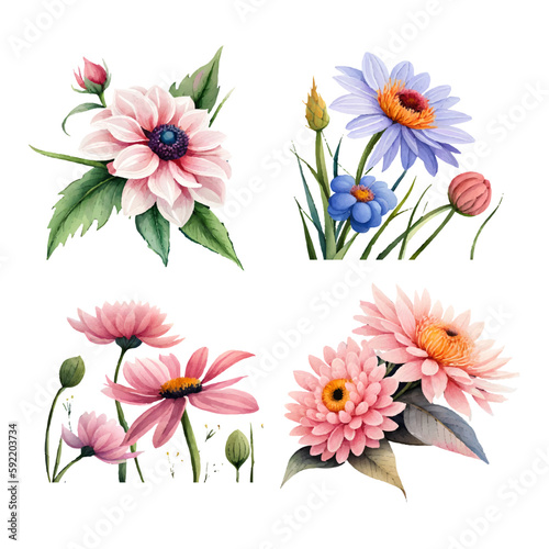 collection of drawn watercolor flowers