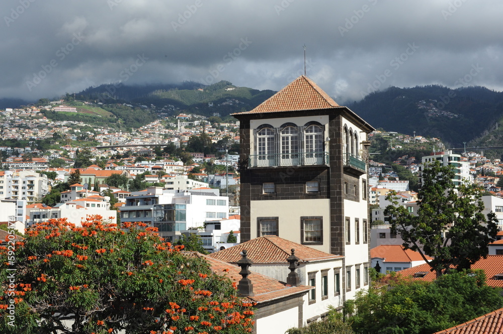 Panoramic view of the old town of Funchal, Madeira island, Portugal with red tile roofs and historical buildings on a sunny day