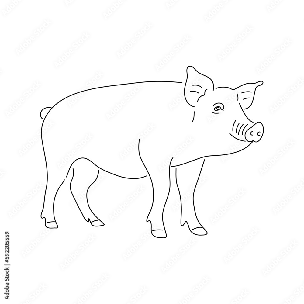 Sketch of a pig. Vector illustration.