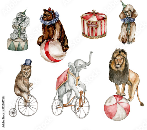 Watercolor circus set of elements in vintage style. Perfect for wedding, invitations, blogs,card templates, birthday and baby cards, patterns, quotes. isolater on white background.Cute circus animals.