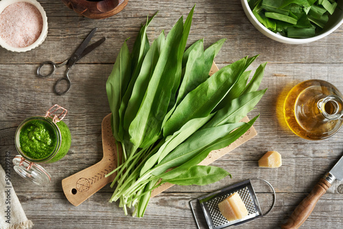 Fresh bear's garlic leaves with oil and parmesan cheese - preparation of pesto photo