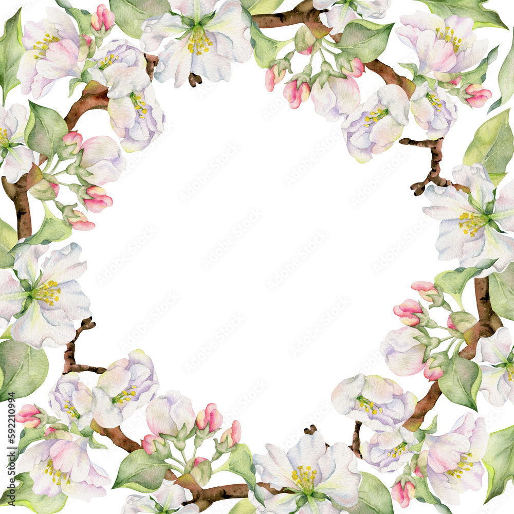 Hand drawn watercolor apple flowers, branches and leaves, white, pink and green blossom. Circle round wreath. Isolated on white background. Design for wall art, wedding, print, fabric, cover, card.