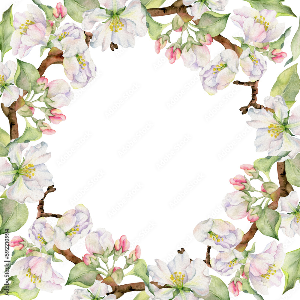 Hand drawn watercolor apple flowers, branches and leaves, white, pink and green blossom. Circle round wreath. Isolated on white background. Design for wall art, wedding, print, fabric, cover, card. Hand drawn watercolor apple flowers, branches and leaves, white, pink and green blossom. Circle round wreath. Isolated on white background. Design for wall art, wedding, print, fabric, cover, card.