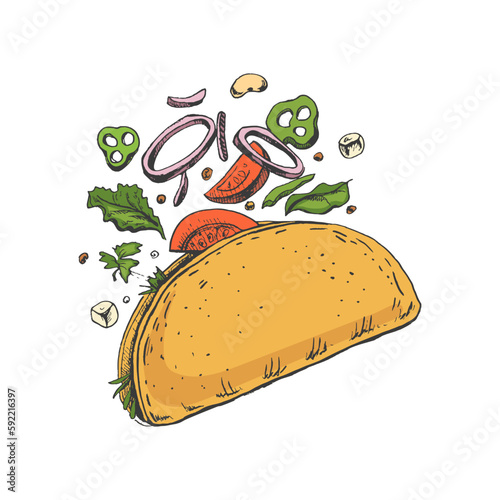 Hand-drawn colored  sketch of taco on white background. Flying ingredients. Onion rings, tomato, cucumber, beans, tortilla. Fast food vintage illustration.