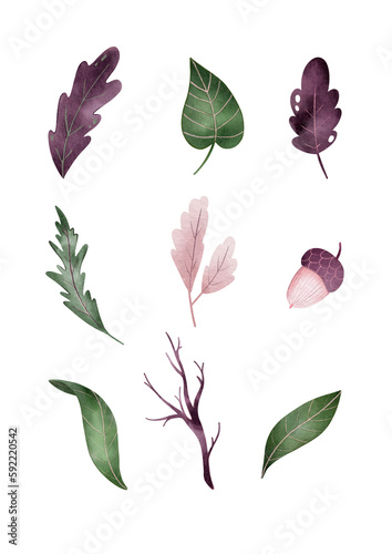 Fall poster for print. Digital watercolor illustration of leaves  branch  acorn.