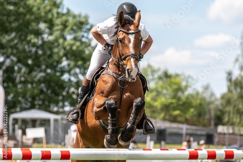 Horse Jumping, Equestrian Sports, Show Jumping themed photo. © Marcin Kilarski/Wirestock Creators
