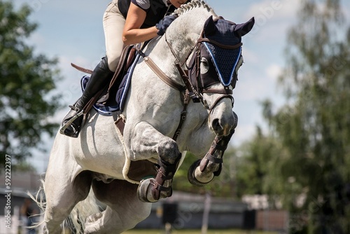 Horse Jumping, Equestrian Sports, Show Jumping themed photo. © Marcin Kilarski/Wirestock Creators