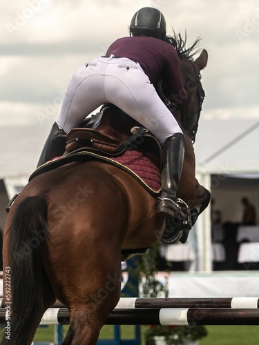 Horse Jumping, Equestrian Sports, Show Jumping themed photo. photo