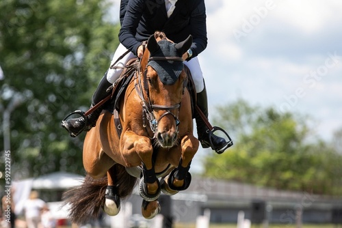 Horse Jumping, Equestrian Sports, Show Jumping themed photo.