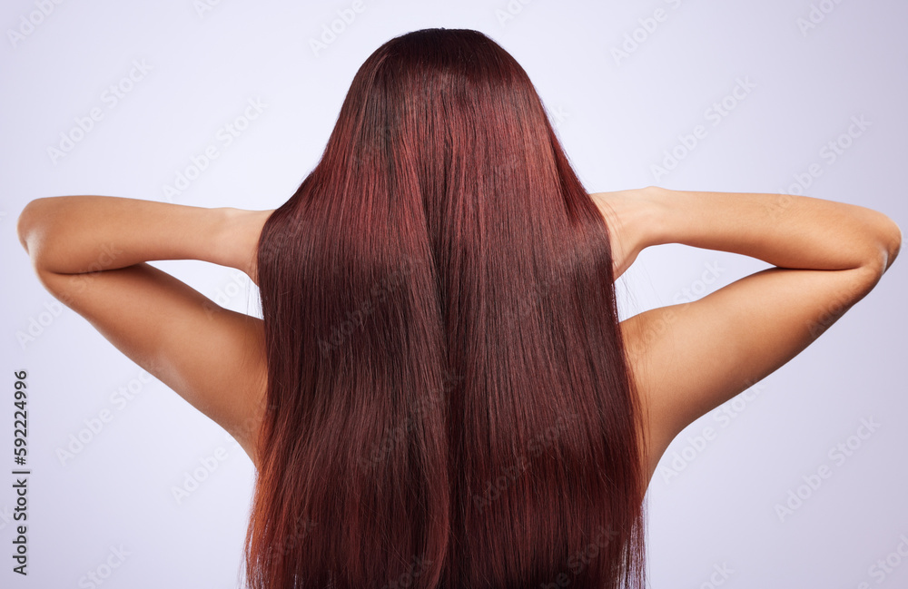 Back, hair care or woman in studio for healthy natural shine, beauty or wellness on white background. Texture of glowing, hair style or girl with salon spa self care cosmetics in grooming for growth Back, hair care or woman in studio for healthy natural shine, beauty or wellness on white background. Texture of glowing, hair style or girl with salon spa self care cosmetics in grooming for growth