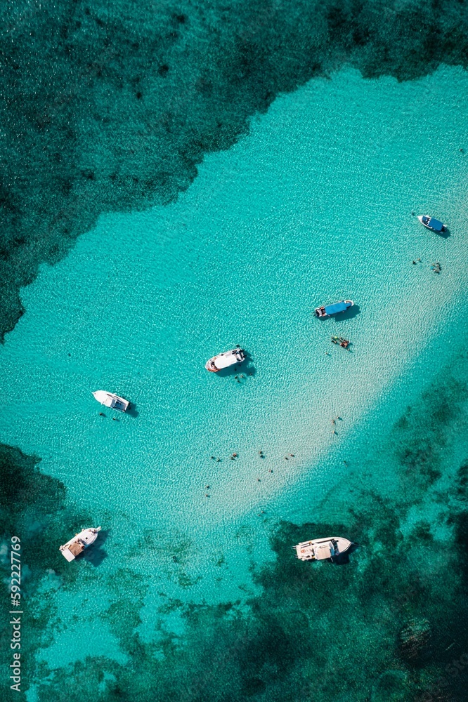 Naklejka premium Vertical shot of tour boats in Cozumel island, Quintana Roo, Mexico