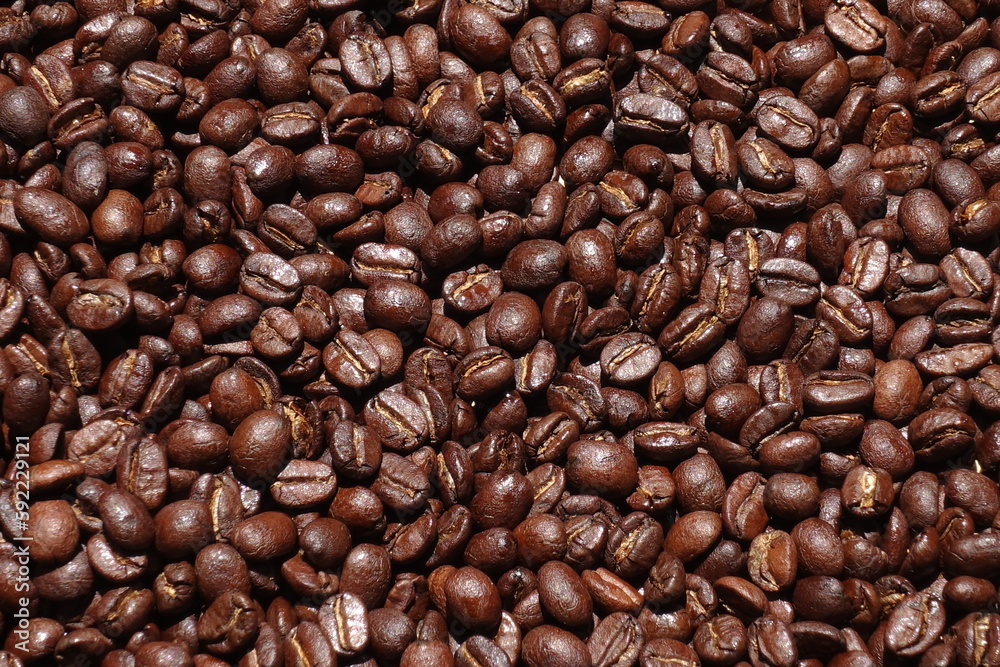 Top view of brown coffee beans, Roasted coffee beans background, Texture freshly roasted coffee beans. Top view of brown coffee beans, Roasted coffee beans background, Texture freshly roasted coffee beans.