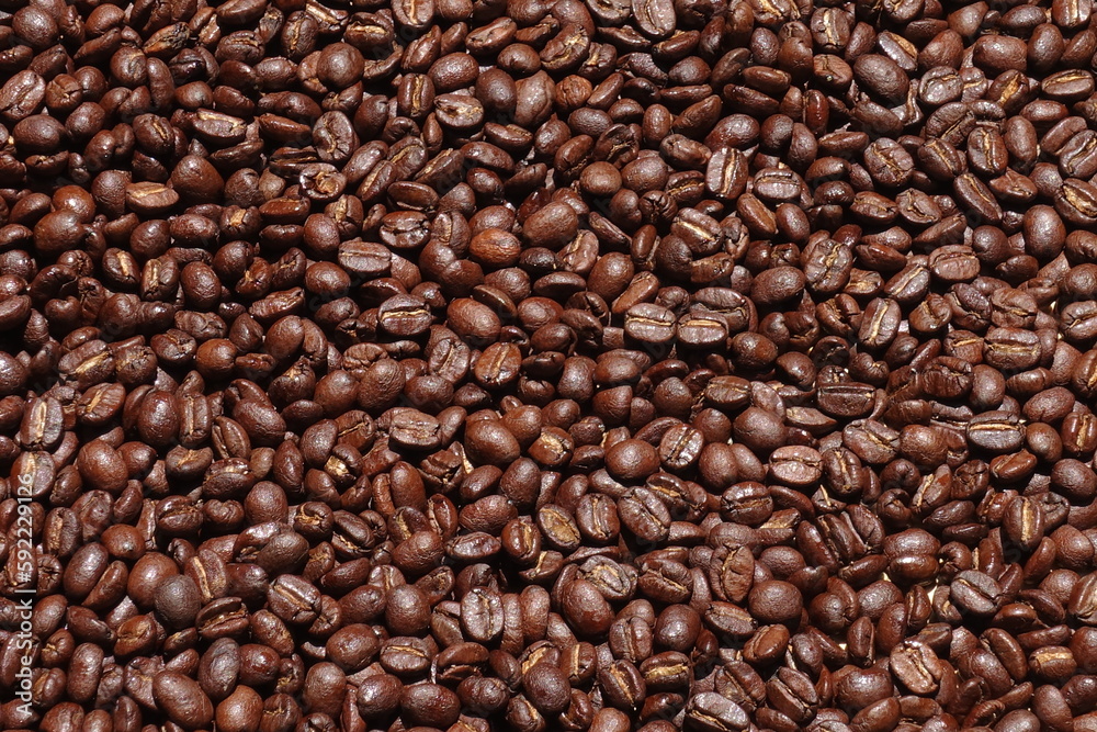 Top view of brown coffee beans, Roasted coffee beans background, Texture freshly roasted coffee beans. Top view of brown coffee beans, Roasted coffee beans background, Texture freshly roasted coffee beans.