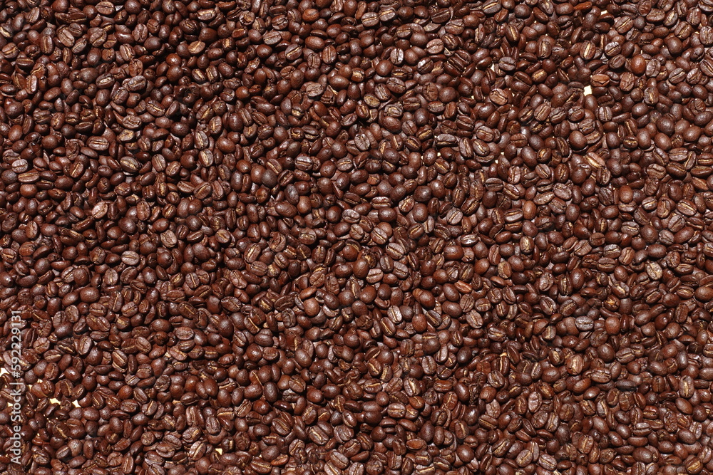 Top view of brown coffee beans, Roasted coffee beans background, Texture freshly roasted coffee beans.