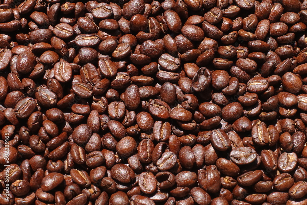Top view of brown coffee beans, Roasted coffee beans background, Texture freshly roasted coffee beans. Top view of brown coffee beans, Roasted coffee beans background, Texture freshly roasted coffee beans.