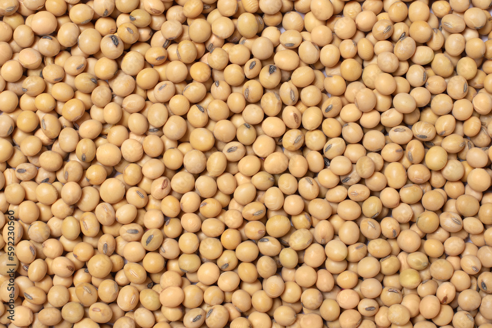 Soy bean (soybean) seeds texture background, top view, flat lay. Soy bean (soybean) seeds texture background, top view, flat lay.