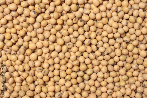 Soy bean (soybean) seeds texture background, top view, flat lay.