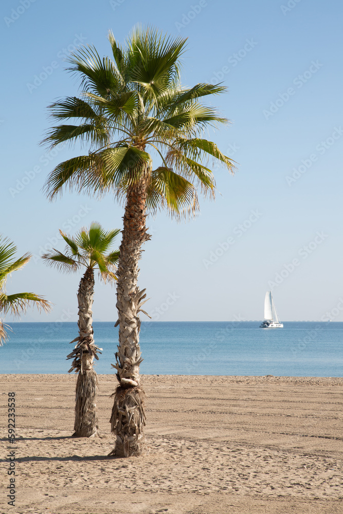 Palm Trees and Yacht, El Campello Beach, Alicante; Spain