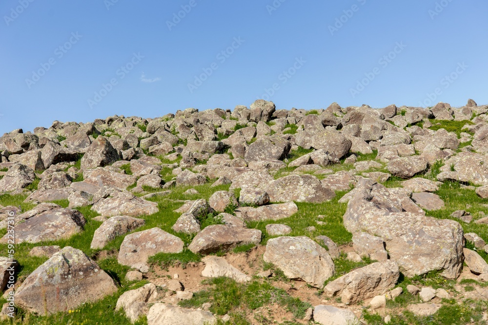 Low-angle closeup of an Aragats mountain covered with grass and stones in spring, Armenia