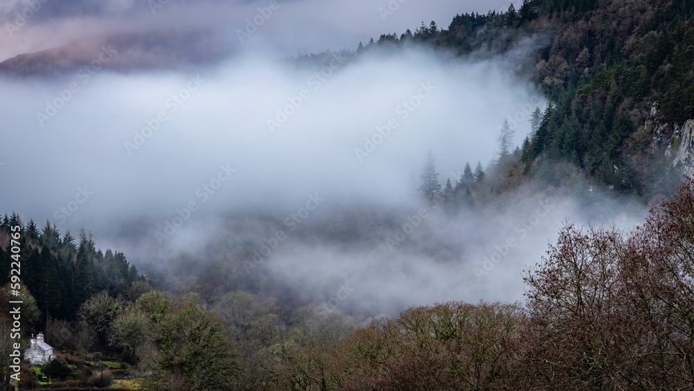 Beautiful landscape of a fog over the forest.