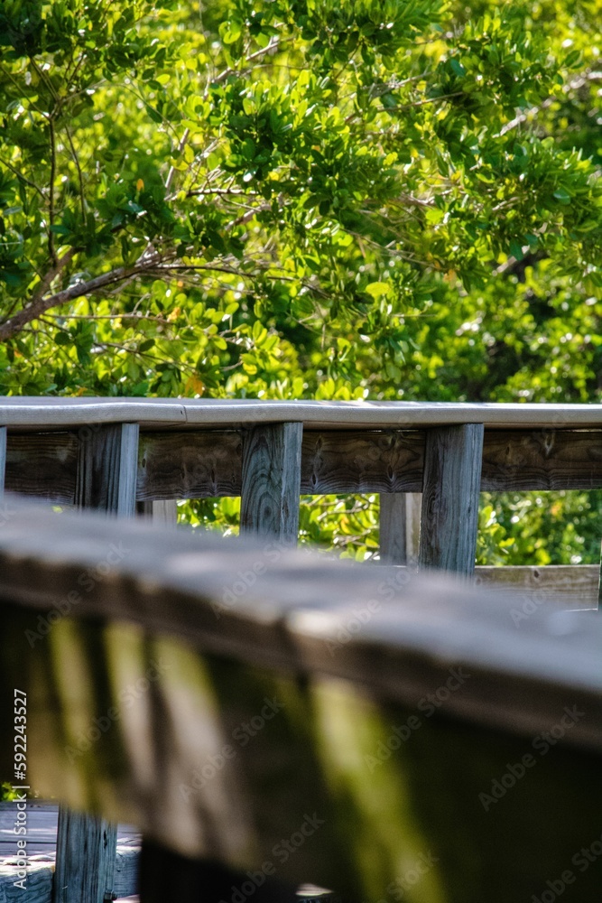 Vertical shot of a beautiful long wooden boardwalk through a park